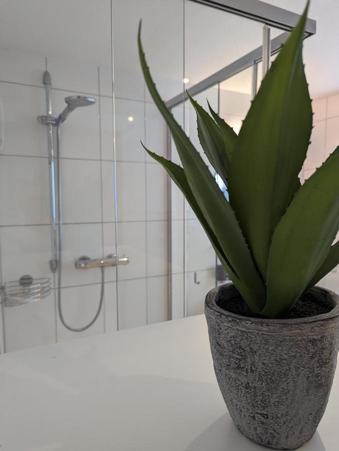Ferienwohnung Apimundi Lauterach Dış mekan fotoğraf